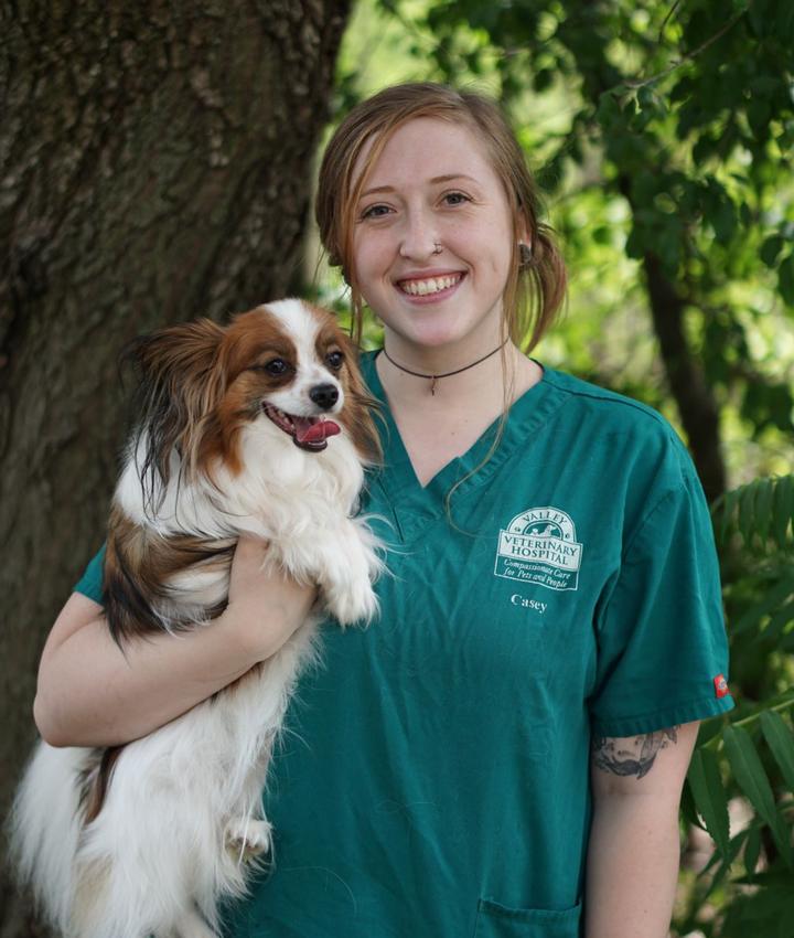 Experienced Veterinarians | Animal Hospital in Hadley